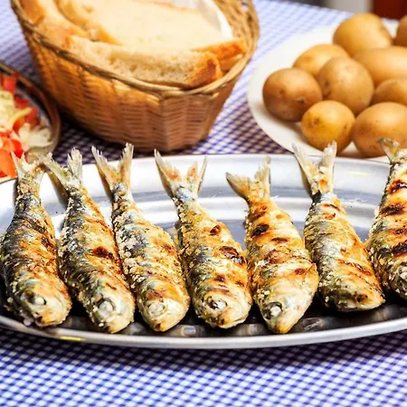 Rochabay 아파트 포티마오